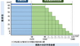 扶養控除 特定親族特別控除